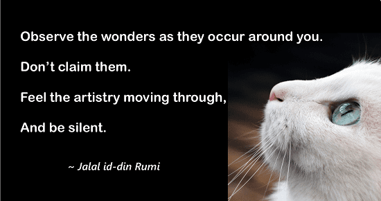 Observe the wonders