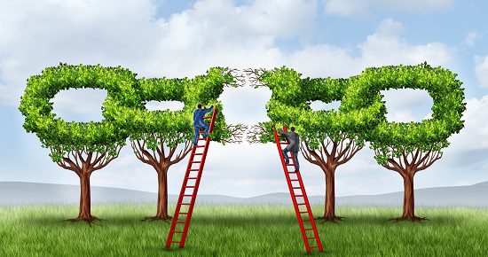 Growing A Partnership