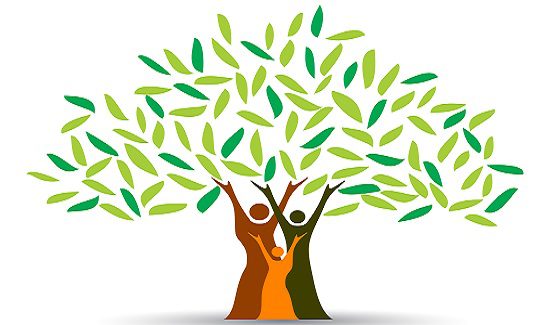 family-tree 550x325