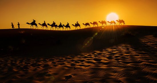 Camel Caravan-dreamstime-550x290