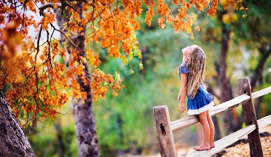 girl on fence autumn trees 550x320
