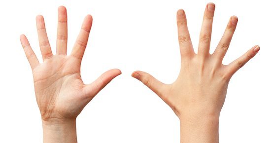 Two empty human hands, front and back view