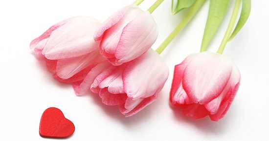 tulips heart 550x290