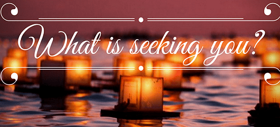 What-is-seeking-you-11