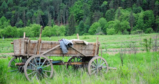 Wood wagon in the field