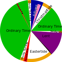 The Great Wheel Of The Year | Nancy Rockwell