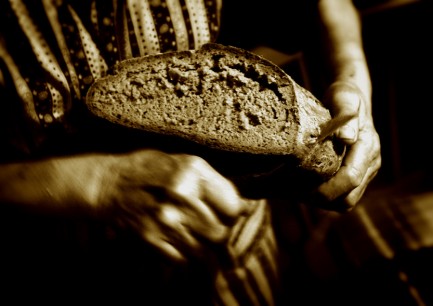 Pentecost 13, Bread of Life, photo, Vanderbilt