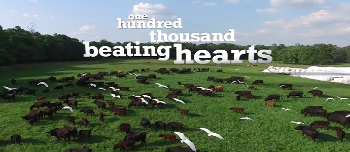 One-Hundred-Thousand-Beating-Hearts- permaculture research institute