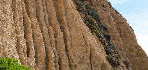DSC_8218 (2)