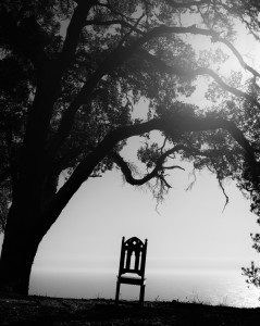 DSC_8588 (2)