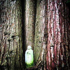 Jizo Statue in Cluster of Trees