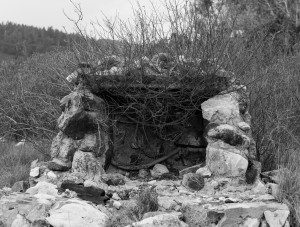 Homestead hearth. Big Sur, CA.