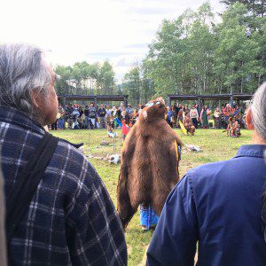 Bear Dance