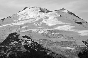 DSC_7955 (2)