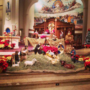 The nativity at my Parish.