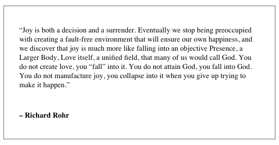 Richard Rohr Joy Quote Andy Gill