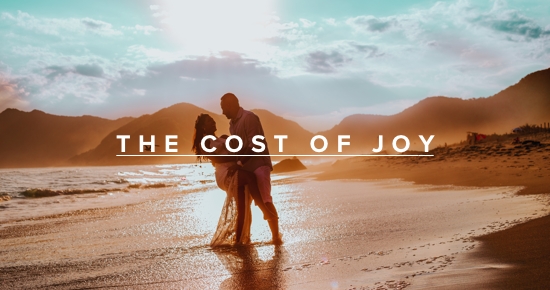 the cost of joy andy gill