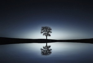 Tree with reflection and starry sky. Tonglen is about creating balance.