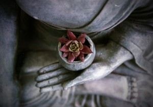 flower in a vessle, beign held by a buddha statue - a symbol that relates to tonglen.