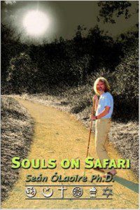 SoulSafari