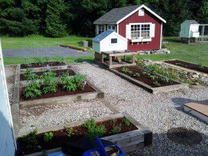 The garden in early June.