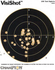 Target practice -- M 4 Carbine, 100 yards. (Personal photo.)