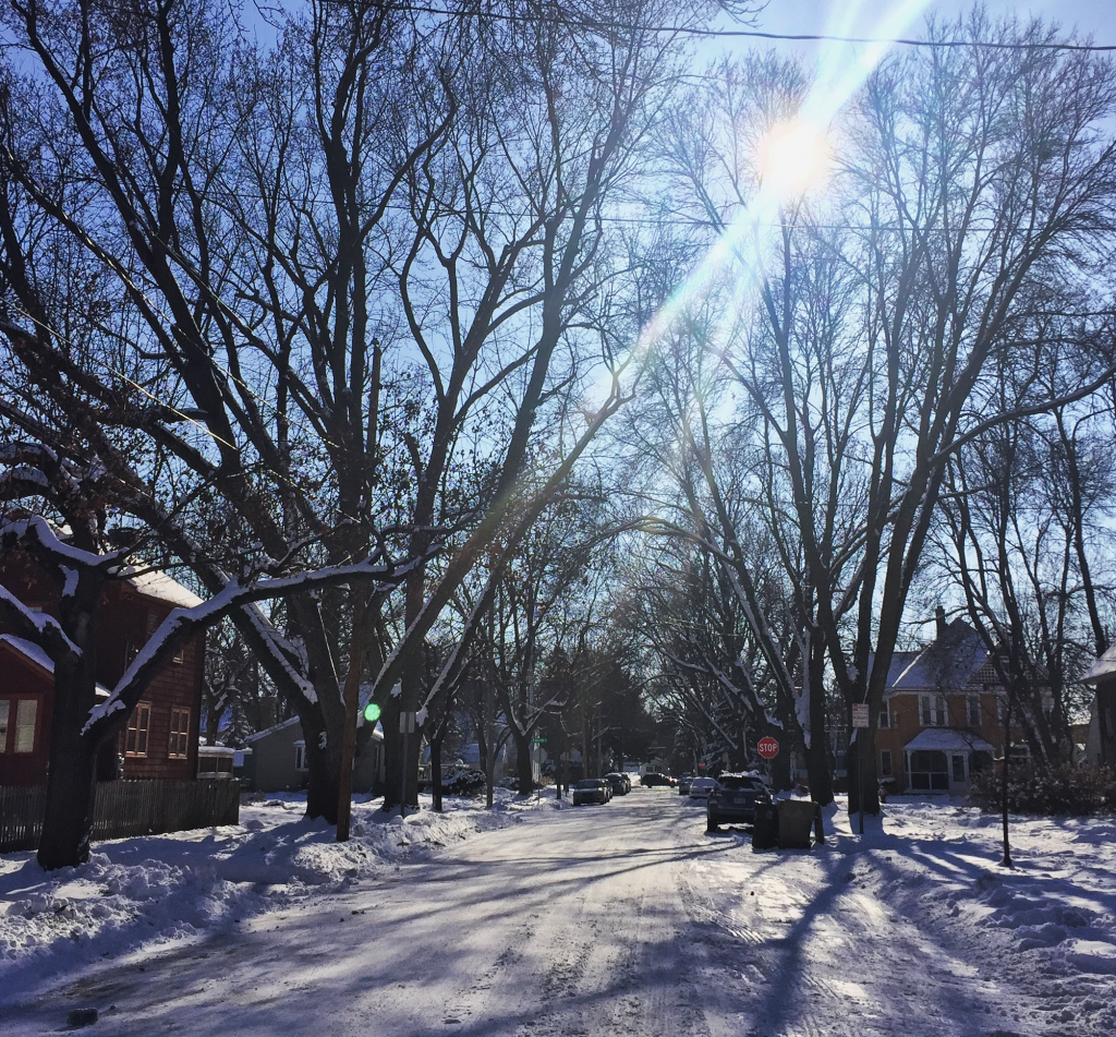 Wisconsin Winter Road