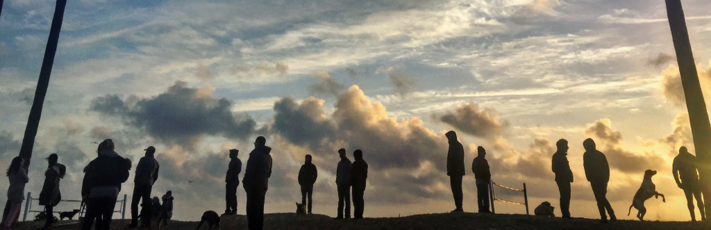 Sunset Silhouettes by Cassidy Hall 