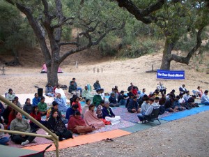 group meditating under trees