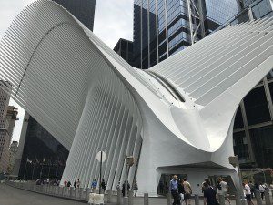 IMG_2740