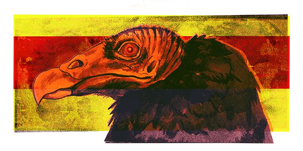 Vulture by Brian C. Jocks