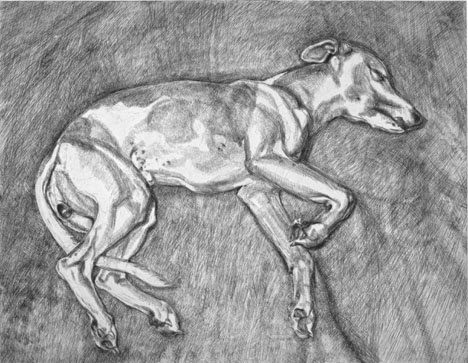 Lucian Freud's whippet is only sleeping.