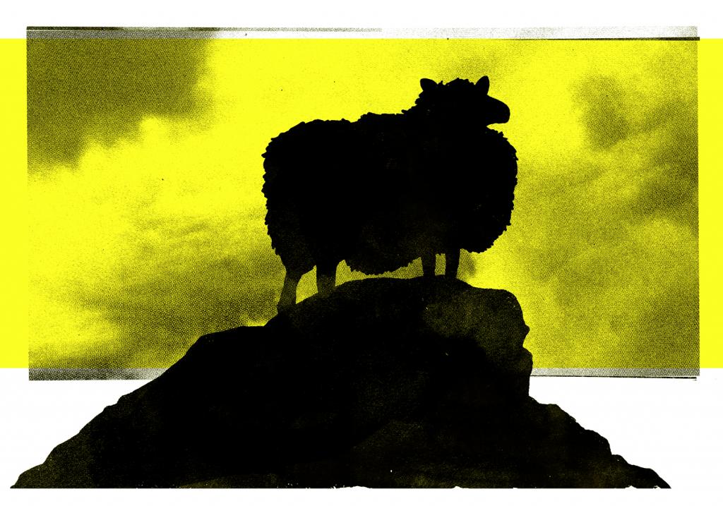 Illustration by our wonderful and woolly artist-in-residence, Brian C. Jocks.