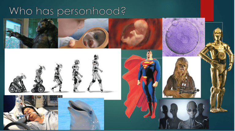 Which one of these entities has personhood?