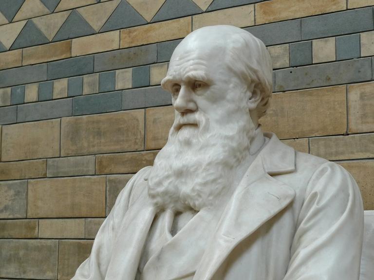 Darwin Day: Can capitalism be domesticated? | Jonathan MS ...