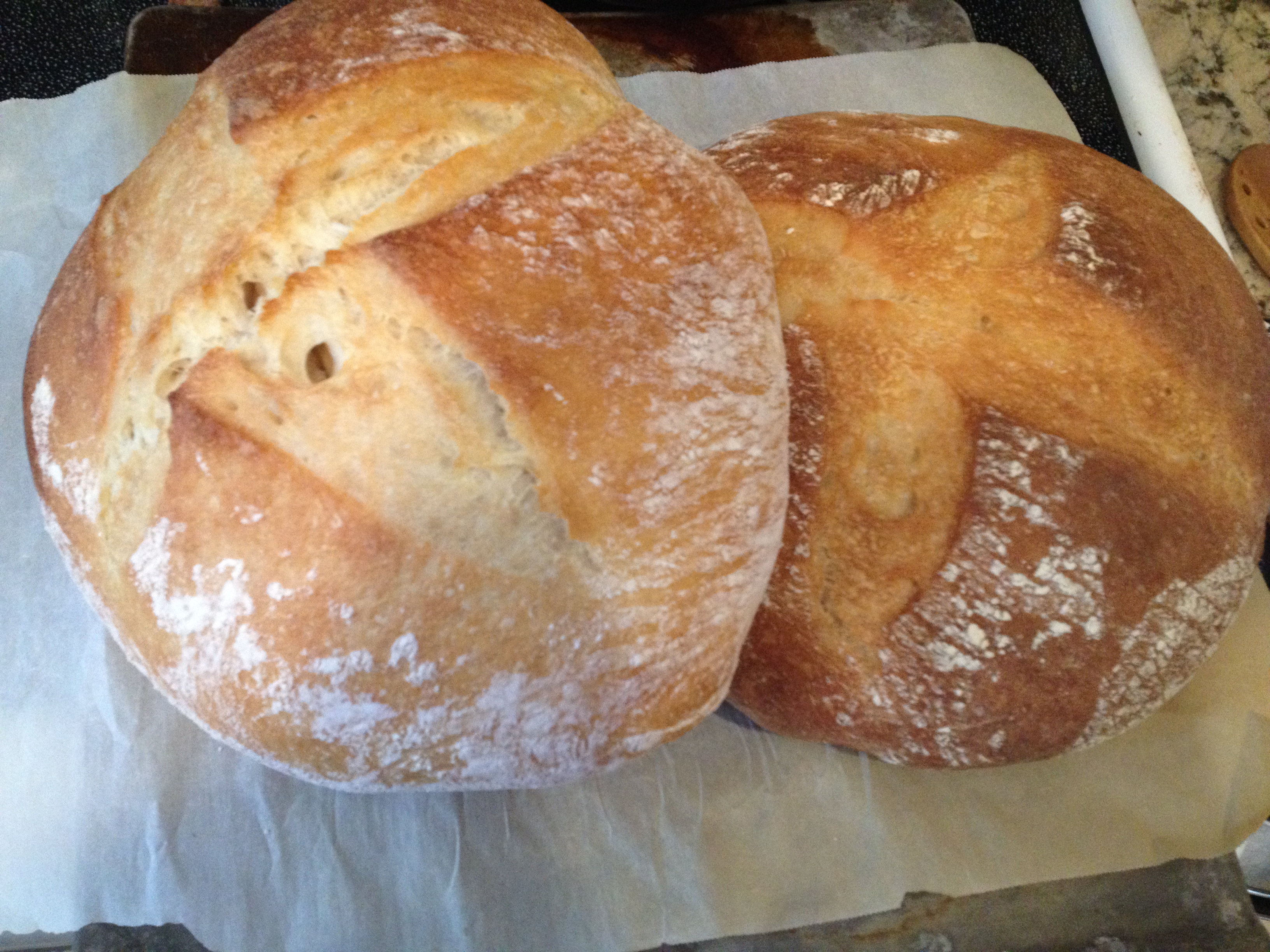 How I Make Artisan Sourdough Bread Rounds Using the Bread Machine (With