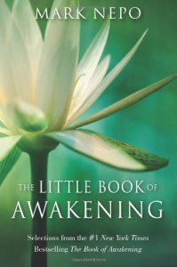 TheLittleBookofAwakening