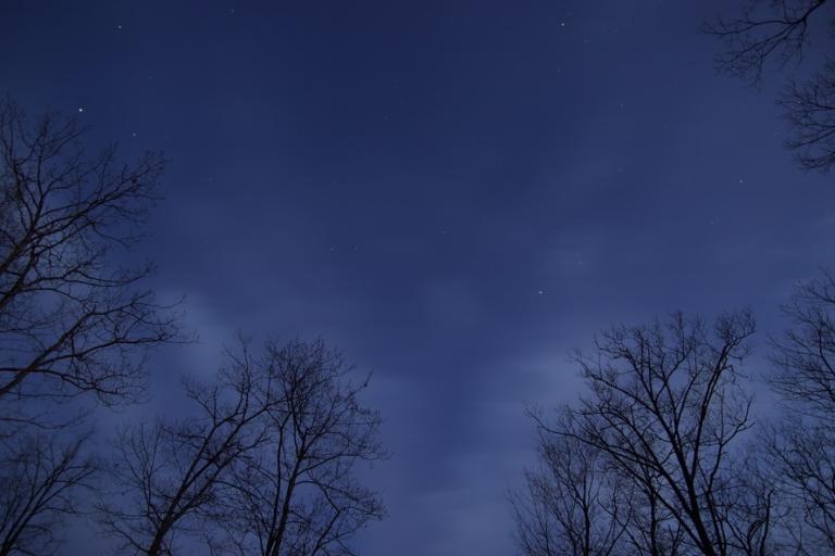 night-clouds-trees-stars-large