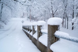 A Walk in the Snow © Phil Roeder, Flickr Creative Commons