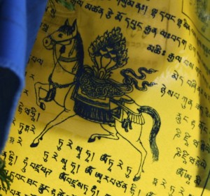 IMG_2697 Tibetan prayer flag, Wind Horse