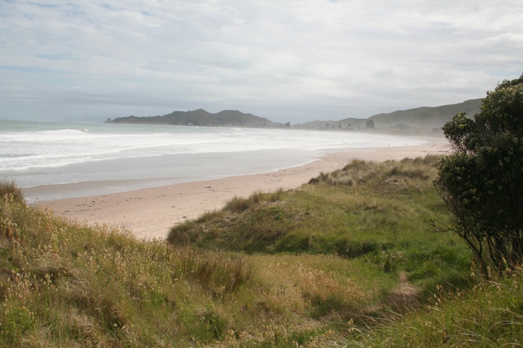 Whalerider Beach, Gisborne, New Zealand