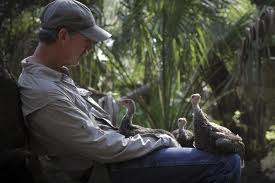  Joe Hutto’s documentary "My Life As A Turkey" describes his two years living among wild turkeys.
