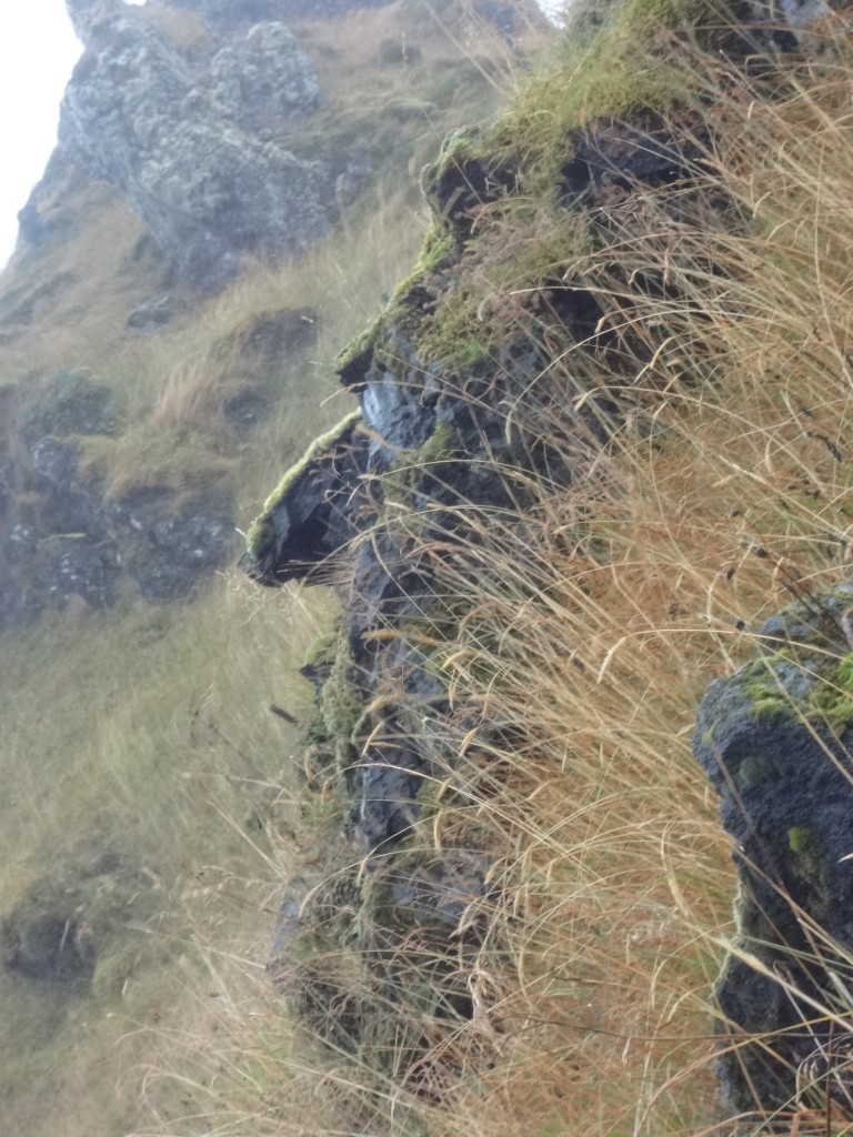 Iceland 366