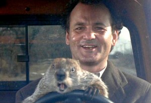 groundhog-day-driving