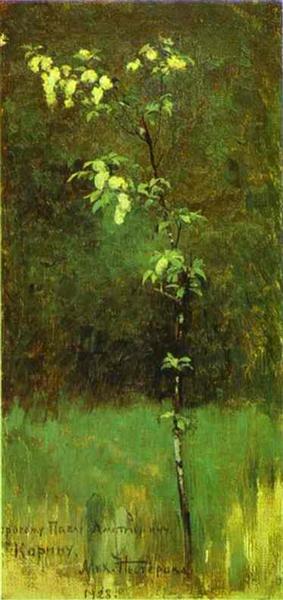 I didn't know what kind of visual would make sense for this, so... Look! It's "Tree in Blossom" by Mikhail Nesterov!