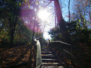 Climbing stairs into the light. Photograph by Henry Karlson