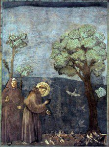 Saint Francis Preaching to the Birds by Giotto [Public Domain] via WikimediaCommons