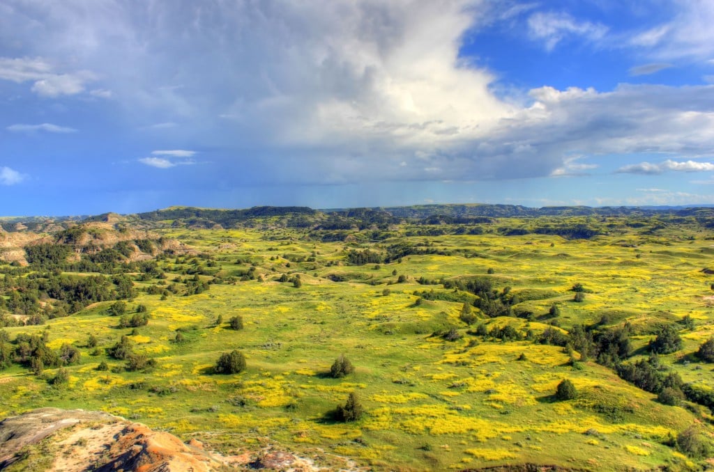 north-dakota-theodore-roosevelt-national-park-grasslands-and-prairie-landscape