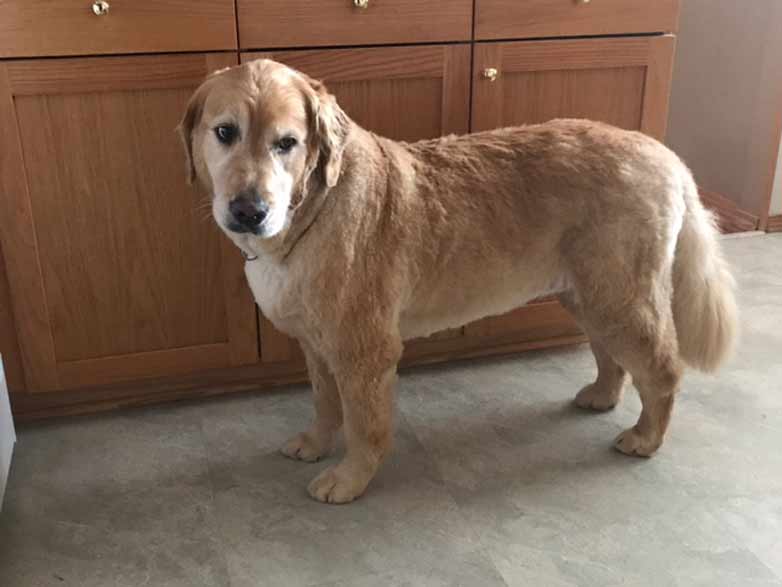 maggie-haircut-patheos