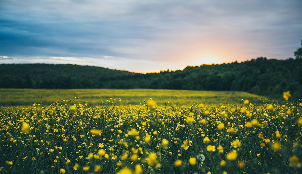 How Can We Be Ready To Meet The Lord?